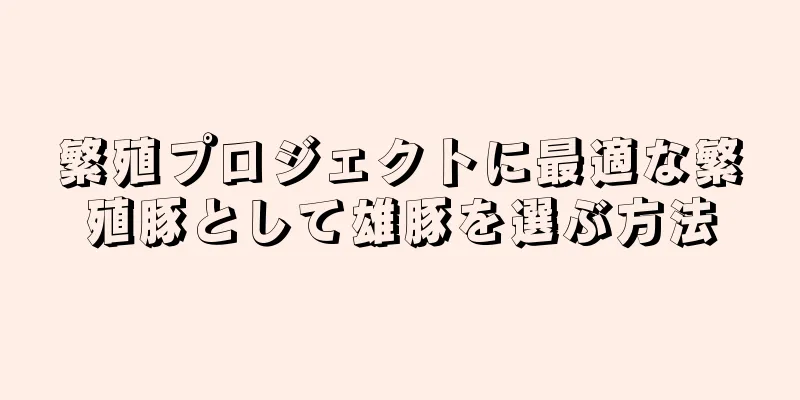 繁殖プロジェクトに最適な繁殖豚として雄豚を選ぶ方法