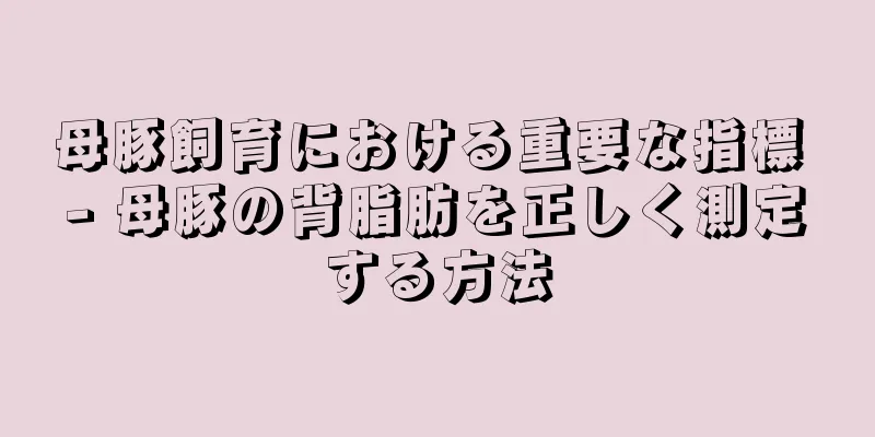 母豚飼育における重要な指標 - 母豚の背脂肪を正しく測定する方法
