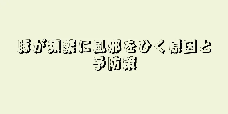 豚が頻繁に風邪をひく原因と予防策