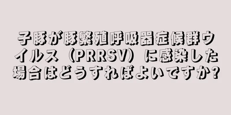 子豚が豚繁殖呼吸器症候群ウイルス（PRRSV）に感染した場合はどうすればよいですか?