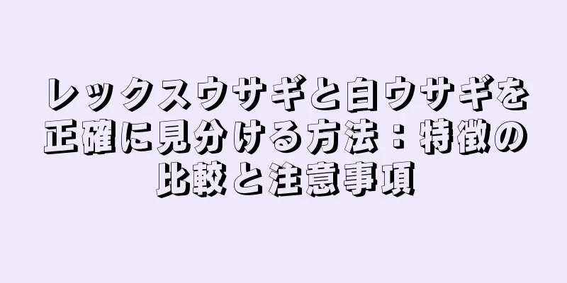 レックスウサギと白ウサギを正確に見分ける方法：特徴の比較と注意事項