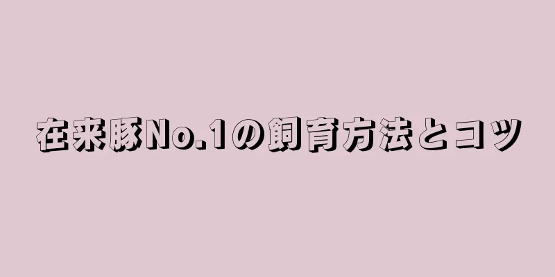 在来豚No.1の飼育方法とコツ