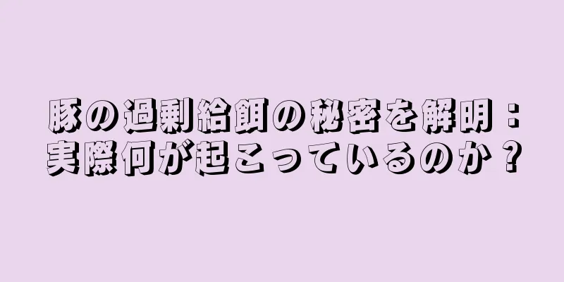 豚の過剰給餌の秘密を解明：実際何が起こっているのか？