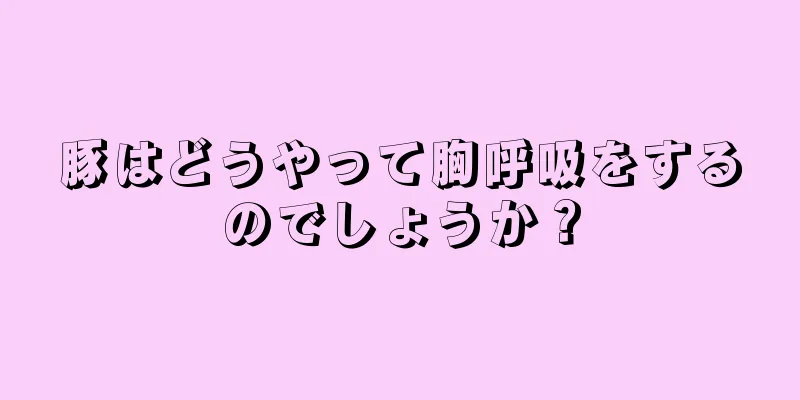 豚はどうやって胸呼吸をするのでしょうか？