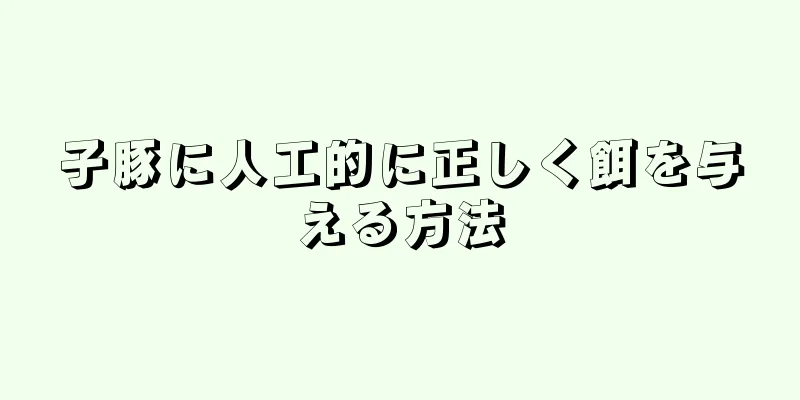 子豚に人工的に正しく餌を与える方法