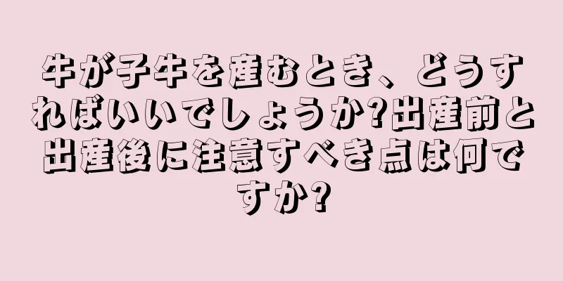 牛が子牛を産むとき、どうすればいいでしょうか?出産前と出産後に注意すべき点は何ですか?