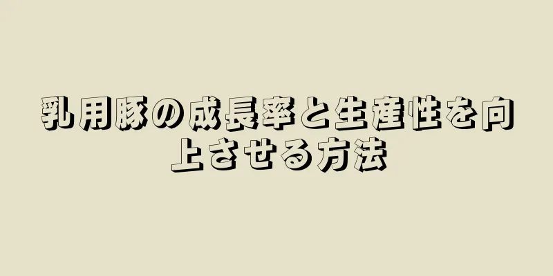 乳用豚の成長率と生産性を向上させる方法