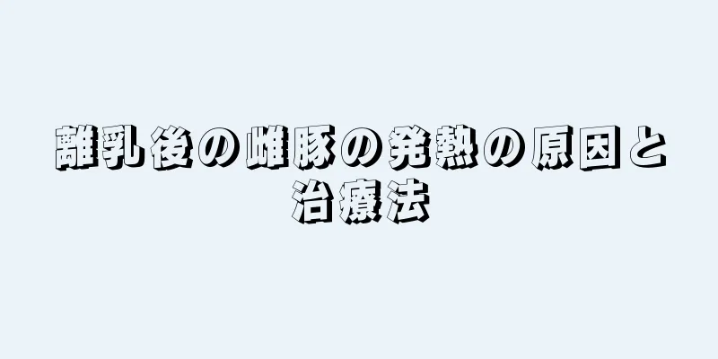 離乳後の雌豚の発熱の原因と治療法