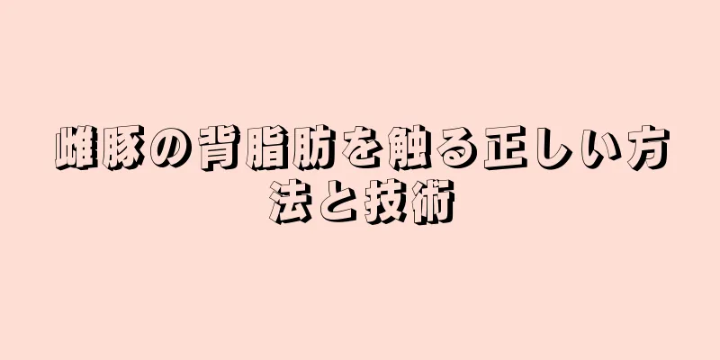 雌豚の背脂肪を触る正しい方法と技術