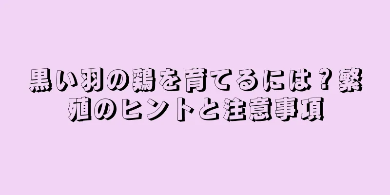 黒い羽の鶏を育てるには？繁殖のヒントと注意事項