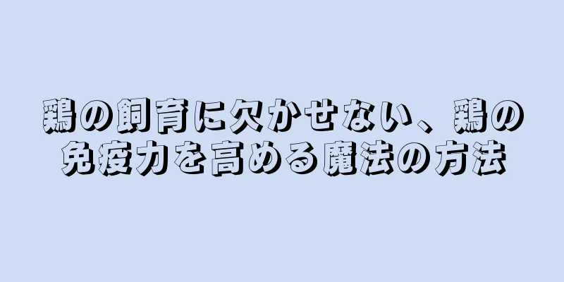 鶏の飼育に欠かせない、鶏の免疫力を高める魔法の方法