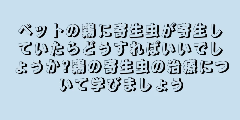 ペットの鶏に寄生虫が寄生していたらどうすればいいでしょうか?鶏の寄生虫の治療について学びましょう