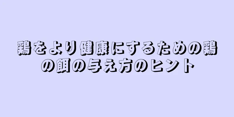 鶏をより健康にするための鶏の餌の与え方のヒント