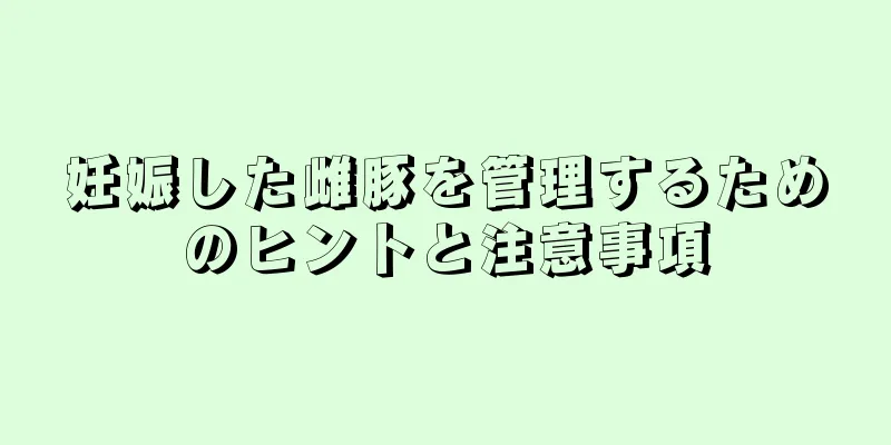妊娠した雌豚を管理するためのヒントと注意事項