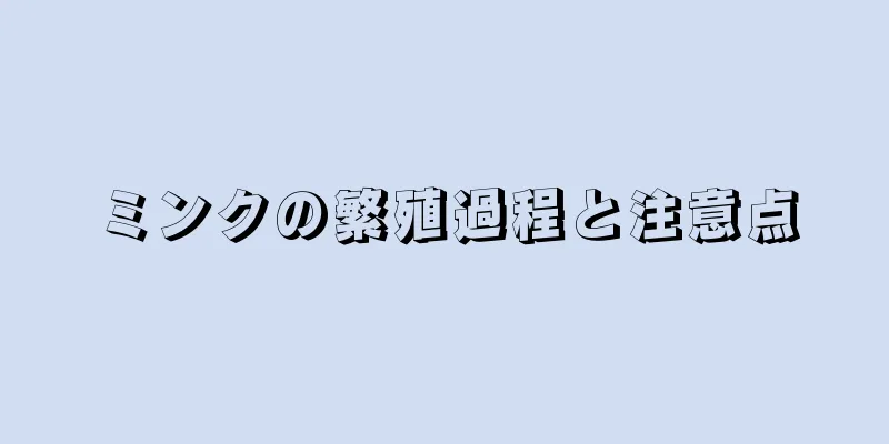 ミンクの繁殖過程と注意点