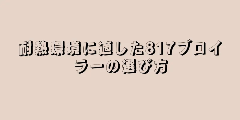 耐熱環境に適した817ブロイラーの選び方