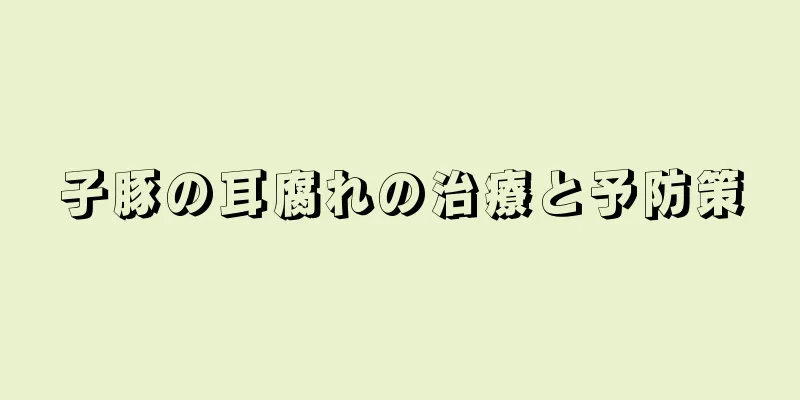 子豚の耳腐れの治療と予防策
