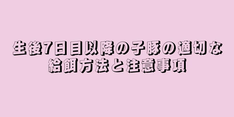 生後7日目以降の子豚の適切な給餌方法と注意事項