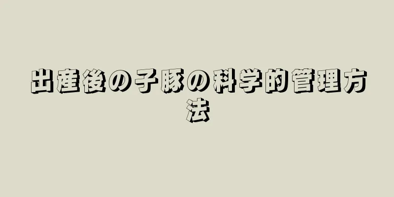 出産後の子豚の科学的管理方法
