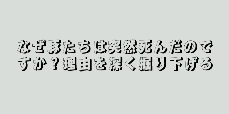 なぜ豚たちは突然死んだのですか？理由を深く掘り下げる