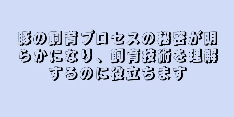 豚の飼育プロセスの秘密が明らかになり、飼育技術を理解するのに役立ちます