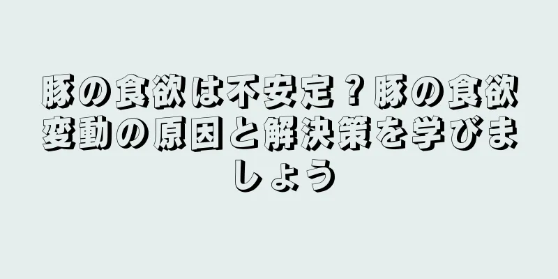 豚の食欲は不安定？豚の食欲変動の原因と解決策を学びましょう