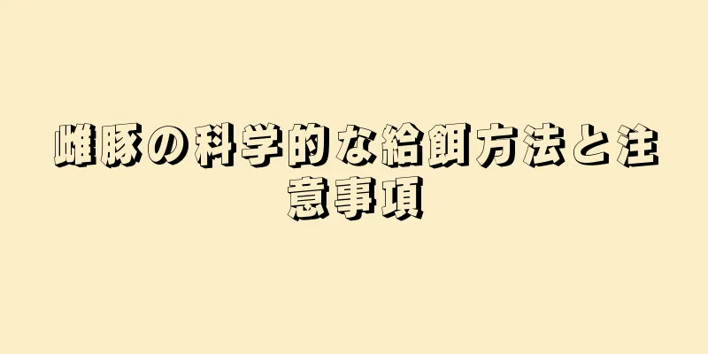 雌豚の科学的な給餌方法と注意事項