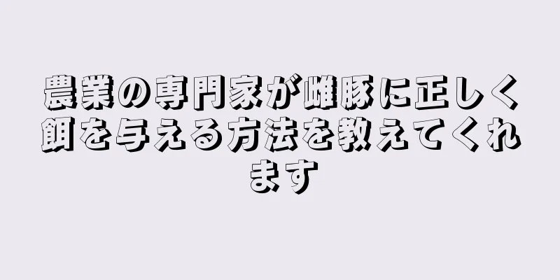 農業の専門家が雌豚に正しく餌を与える方法を教えてくれます