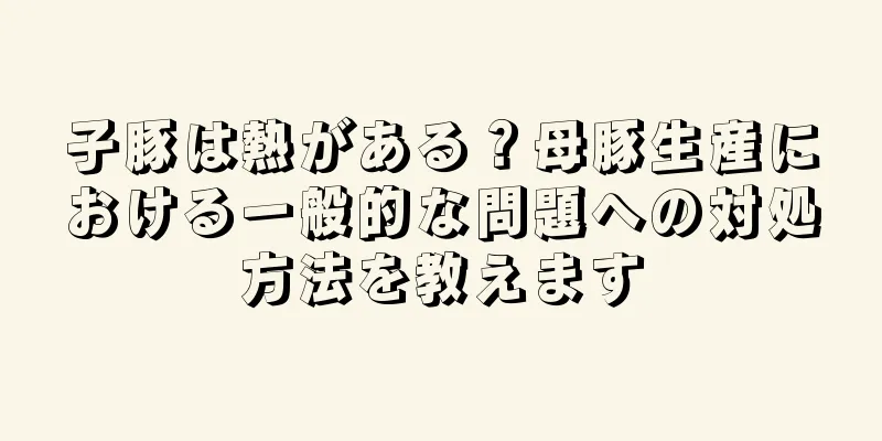 子豚は熱がある？母豚生産における一般的な問題への対処方法を教えます