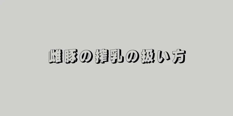 雌豚の搾乳の扱い方