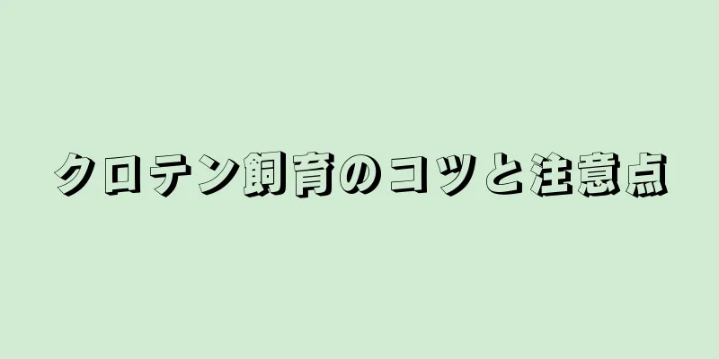 クロテン飼育のコツと注意点
