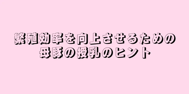 繁殖効率を向上させるための母豚の授乳のヒント
