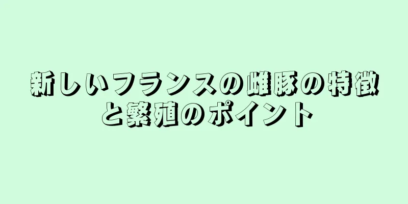 新しいフランスの雌豚の特徴と繁殖のポイント