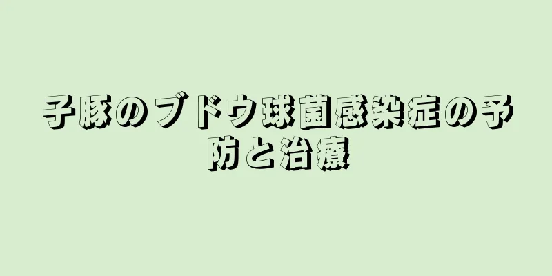 子豚のブドウ球菌感染症の予防と治療