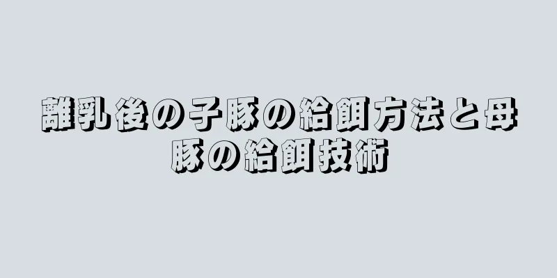 離乳後の子豚の給餌方法と母豚の給餌技術
