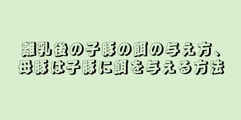離乳後の子豚の餌の与え方、母豚は子豚に餌を与える方法