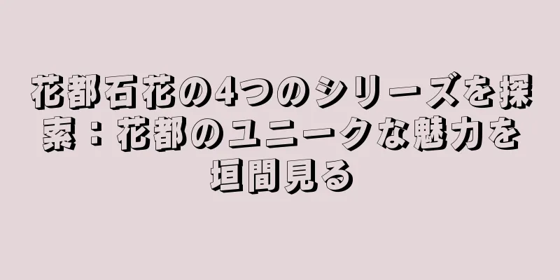 花都石花の4つのシリーズを探索：花都のユニークな魅力を垣間見る