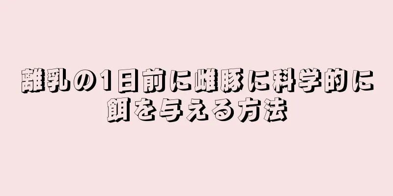 離乳の1日前に雌豚に科学的に餌を与える方法