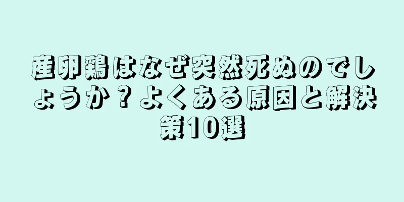 産卵鶏はなぜ突然死ぬのでしょうか？よくある原因と解決策10選