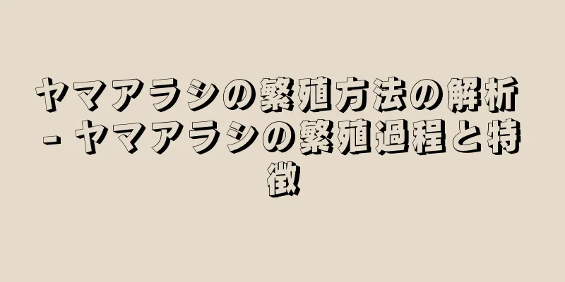 ヤマアラシの繁殖方法の解析 - ヤマアラシの繁殖過程と特徴