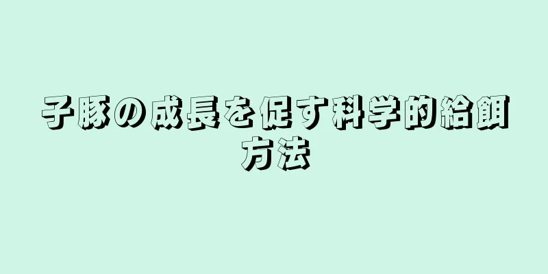 子豚の成長を促す科学的給餌方法