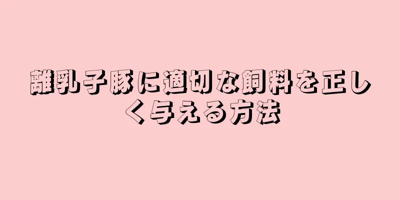 離乳子豚に適切な飼料を正しく与える方法