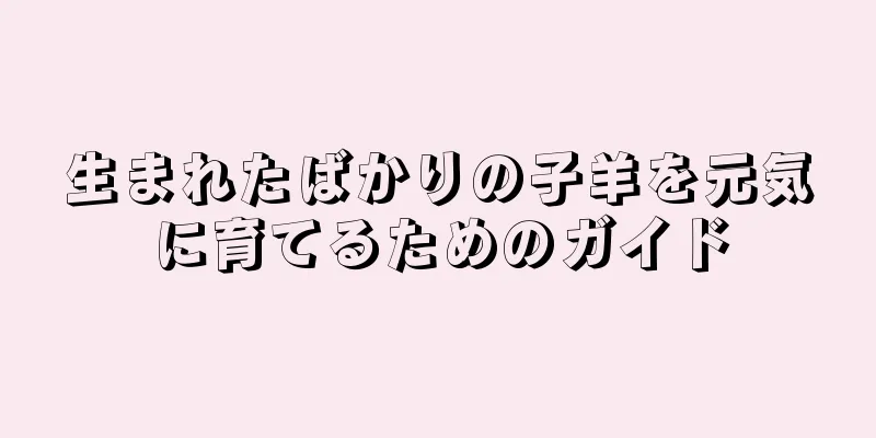 生まれたばかりの子羊を元気に育てるためのガイド