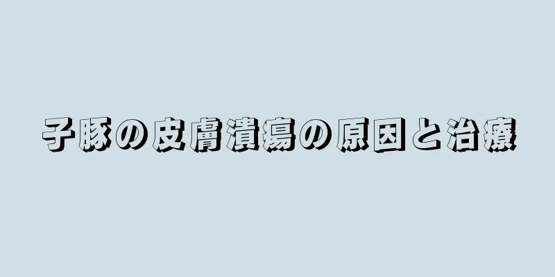 子豚の皮膚潰瘍の原因と治療