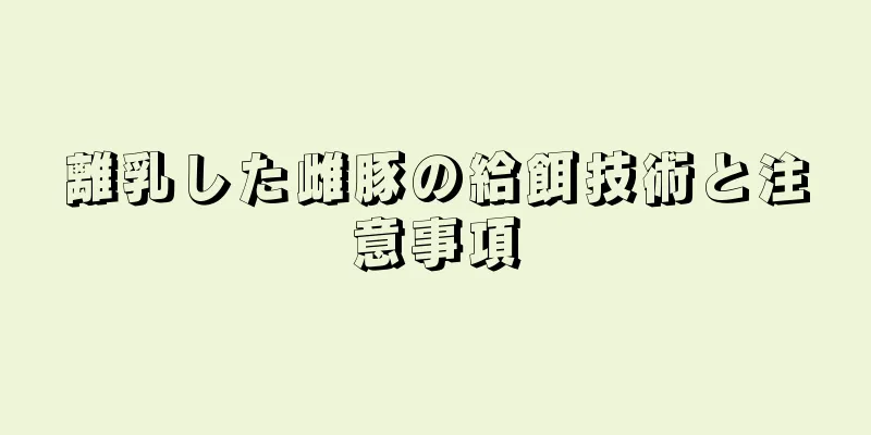 離乳した雌豚の給餌技術と注意事項
