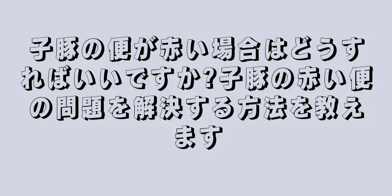 子豚の便が赤い場合はどうすればいいですか?子豚の赤い便の問題を解決する方法を教えます