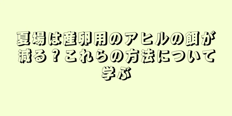 夏場は産卵用のアヒルの餌が減る？これらの方法について学ぶ