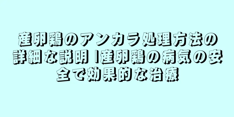 産卵鶏のアンカラ処理方法の詳細な説明 |産卵鶏の病気の安全で効果的な治療