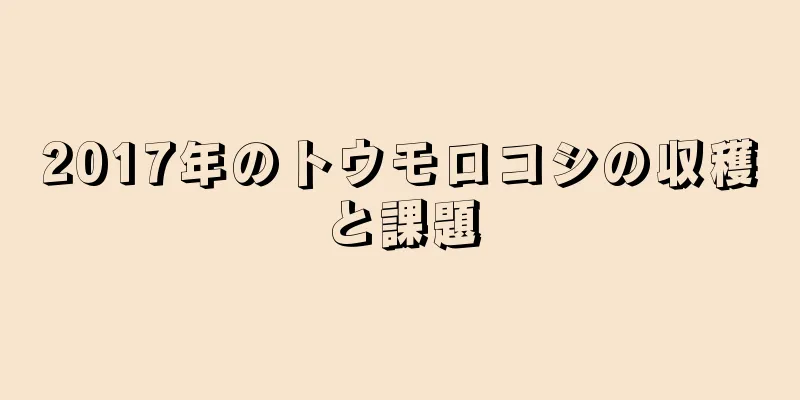 2017年のトウモロコシの収穫と課題