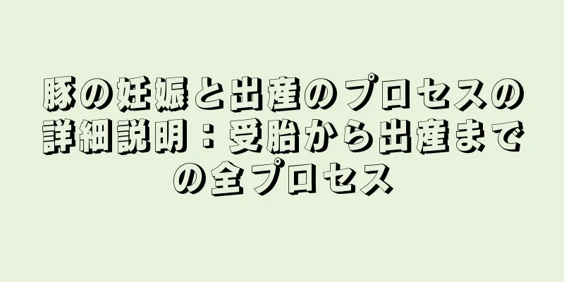 豚の妊娠と出産のプロセスの詳細説明：受胎から出産までの全プロセス